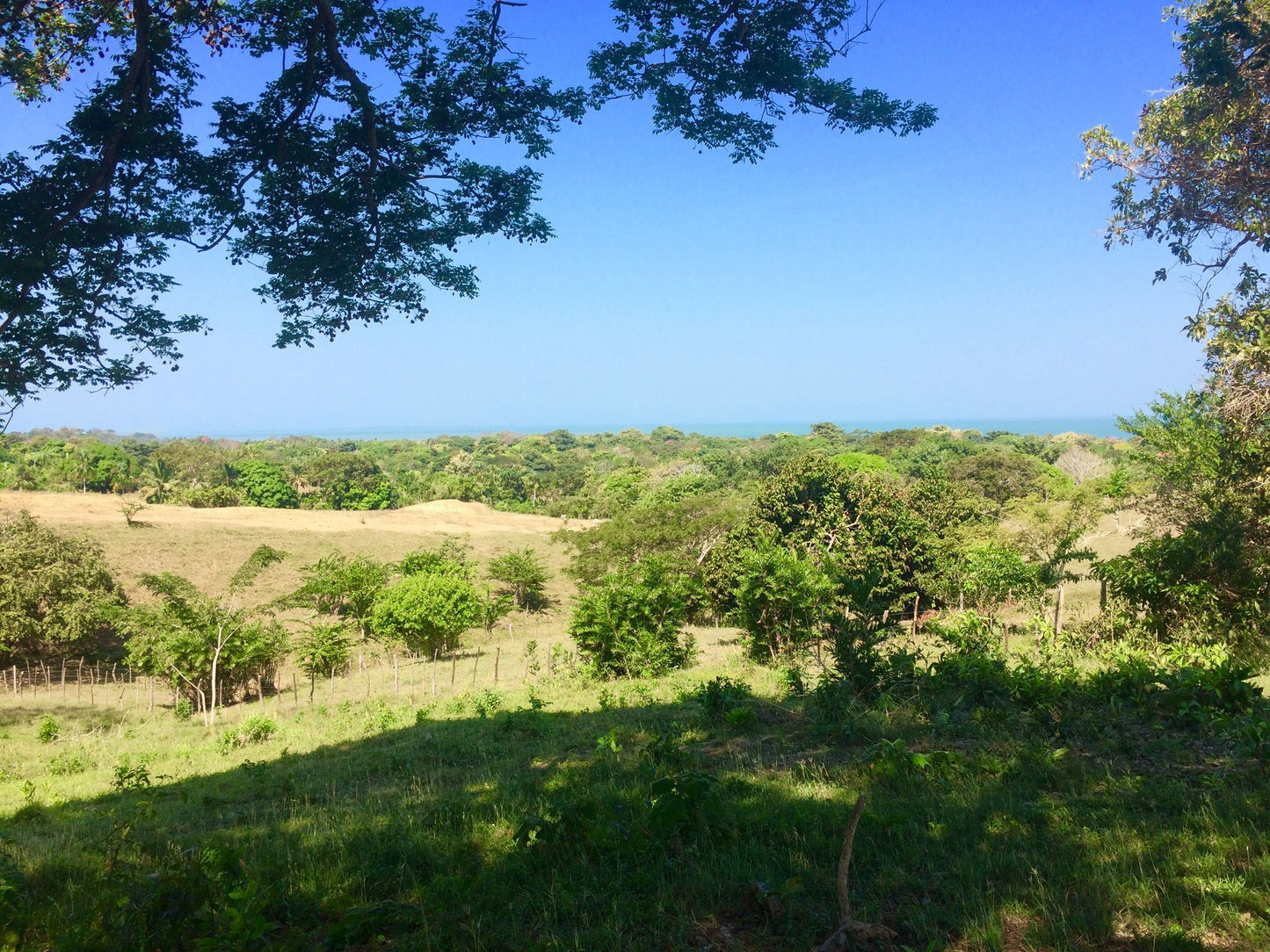 🌴 Lote en Venta en San Bernardo del Viento ¡A Pasos de la Playa!  25,758 m² 🌊