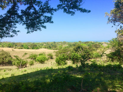 🌴 Lote en Venta en San Bernardo del Viento ¡A Pasos de la Playa!  25,758 m² 🌊