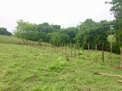 🌴 Lote en Venta en San Bernardo del Viento ¡A Pasos de la Playa!  25,758 m² 🌊