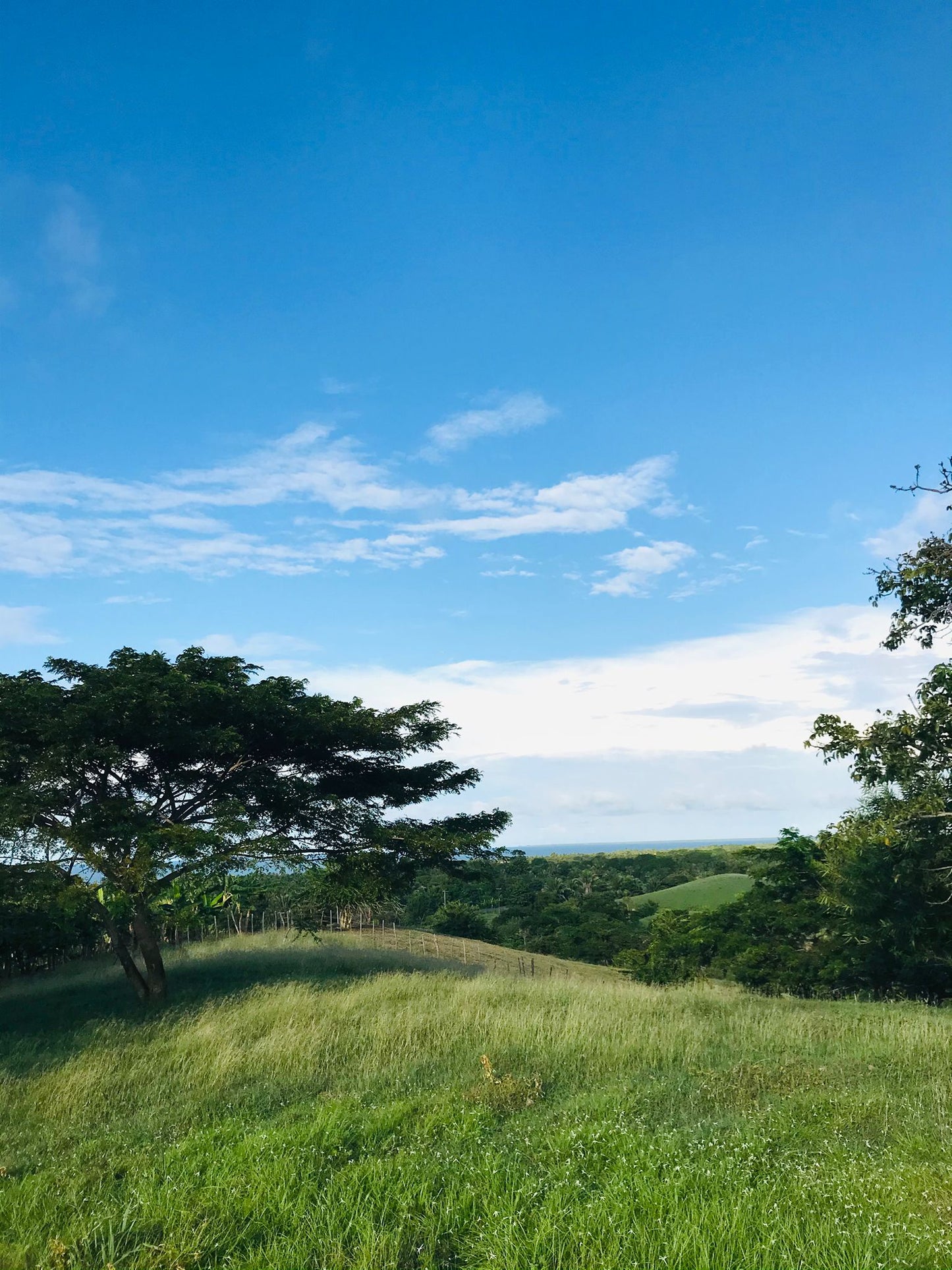 🌴 Lote en Venta en San Bernardo del Viento ¡A Pasos de la Playa!  25,758 m² 🌊