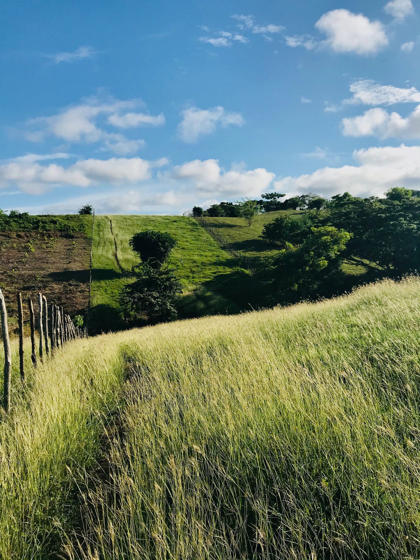 🌴 Lote en Venta en San Bernardo del Viento ¡A Pasos de la Playa!  25,758 m² 🌊