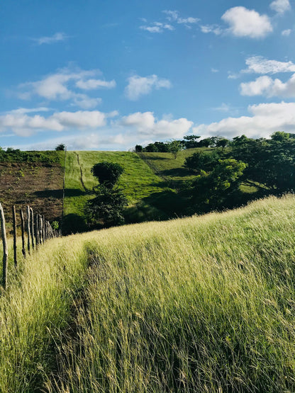 🌴 Lote en Venta en San Bernardo del Viento ¡A Pasos de la Playa!  25,758 m² 🌊